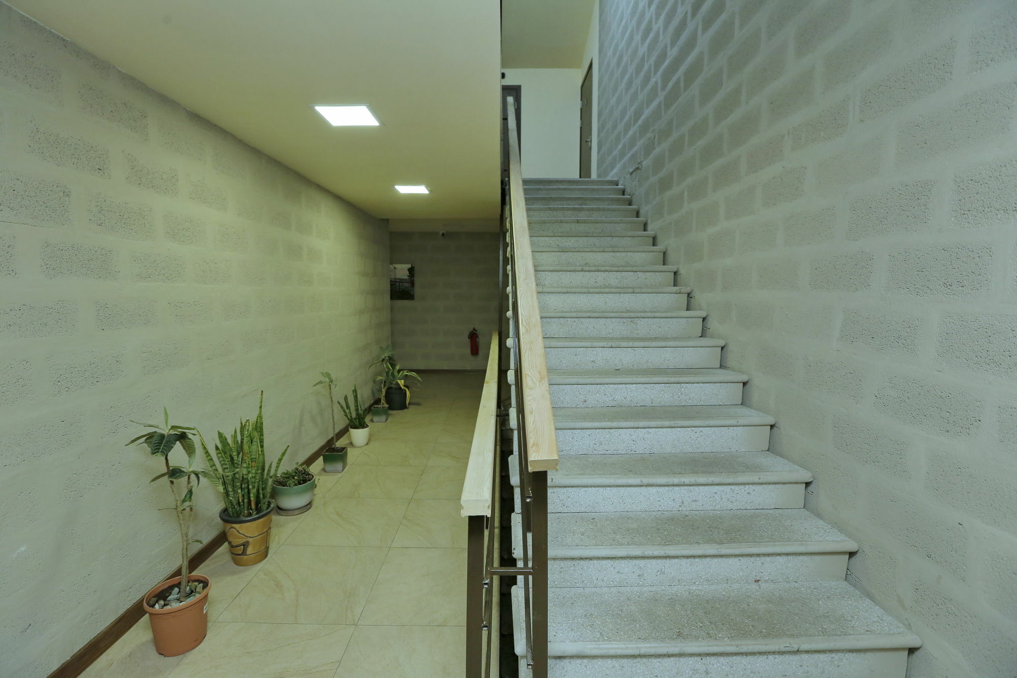 Grammy Apartments City Center يريفان المظهر الخارجي الصورة